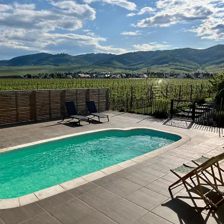 Gite Proche Colmar Vignoble Wettolsheim Exterior photo